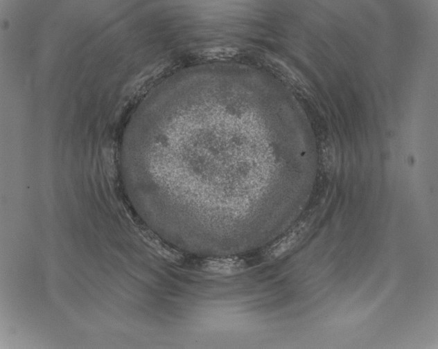 X0000074040757200609111739