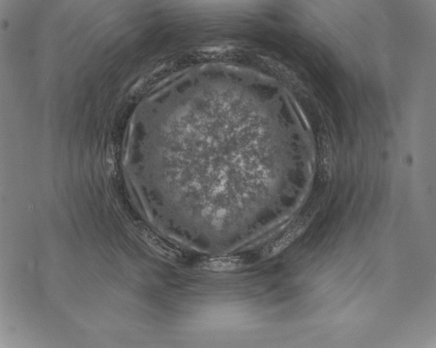 X0000074040758200609111739