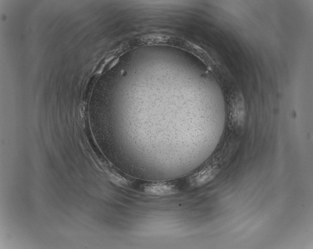 X0000074040759200609111739