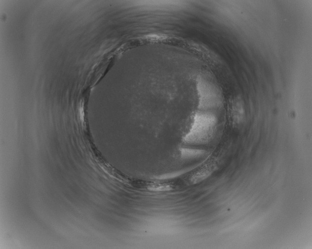 X0000074040760200609111739