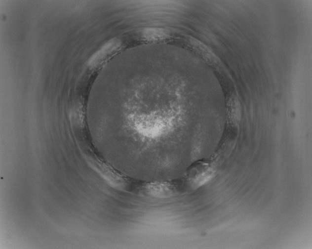 X0000074040762200609111739