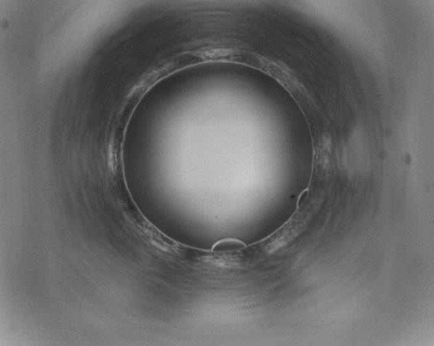 X0000074040763200609111739