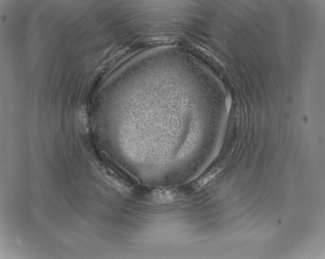 X0000074040764200609111739