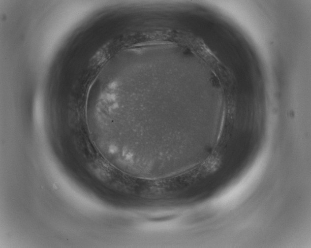 X0000074040765200609111739