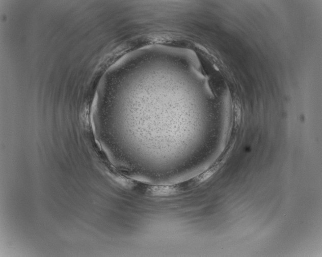 X0000074040766200609111739