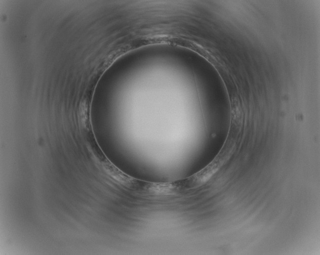 X0000074040767200609111739