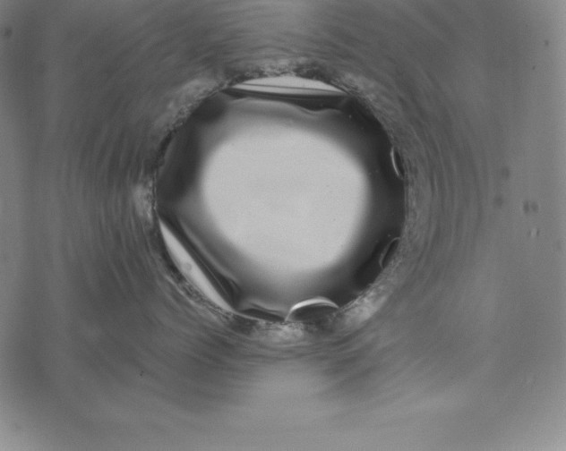 X0000074040768200609111739