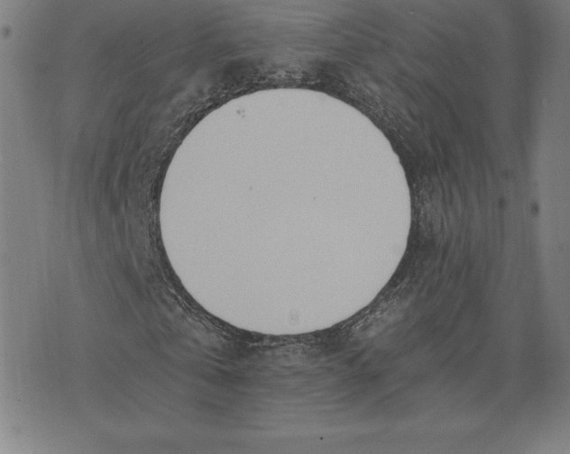 X0000074040769200609111738