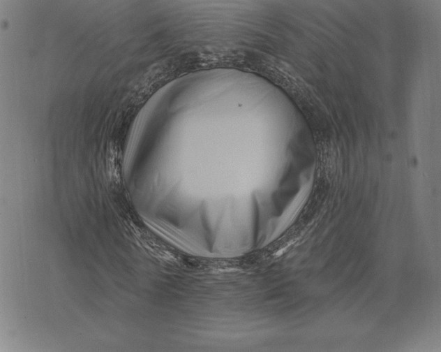 X0000074040770200609111738