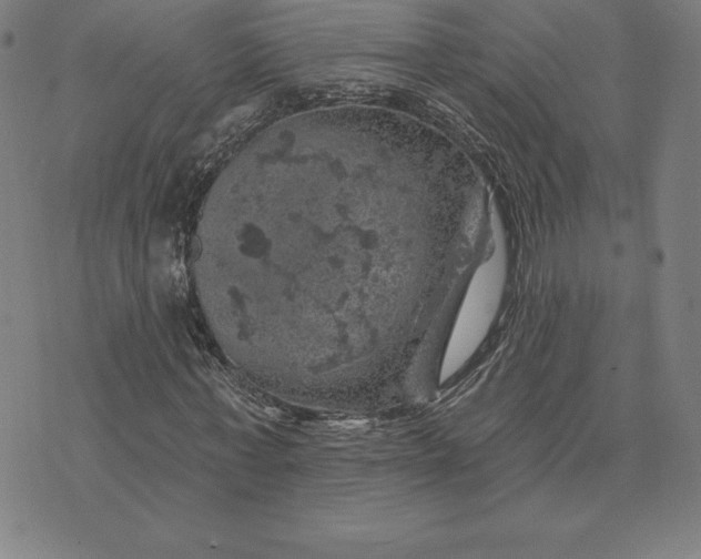 X0000074040771200609111738