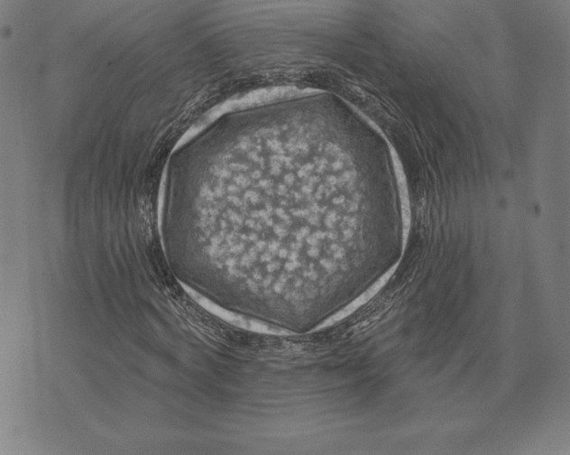 X0000074040772200609111738