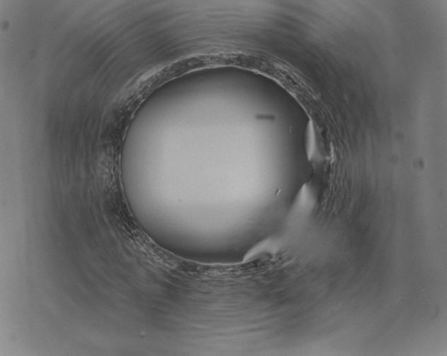 X0000074040773200609111738