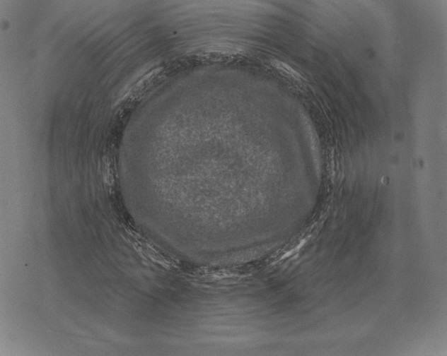 X0000074040774200609111738