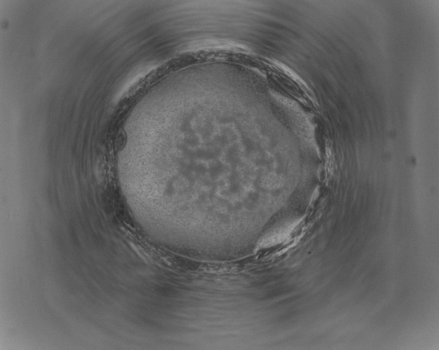 X0000074040775200609111738