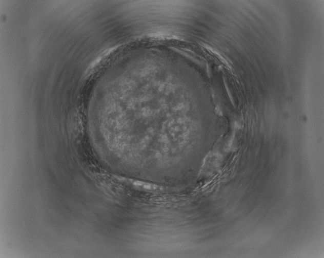 X0000074040776200609111738