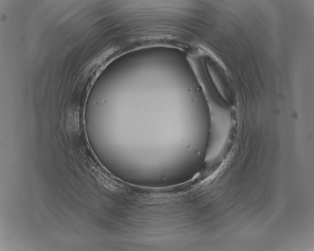 X0000074040777200609111738