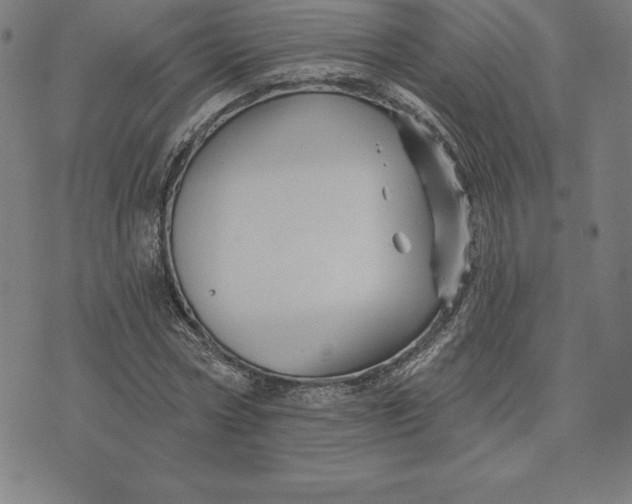 X0000074040778200609111738