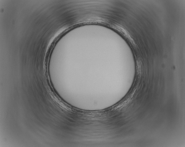 X0000074040780200609111738