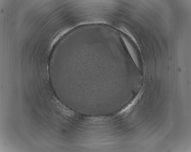 X0000074040781200609111738