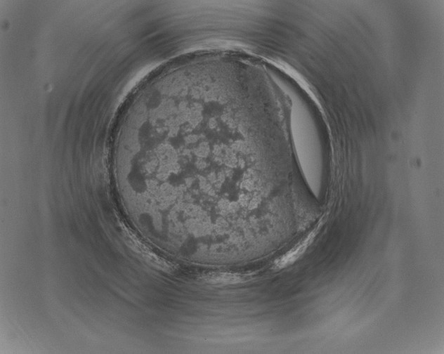 X0000074040783200609111738