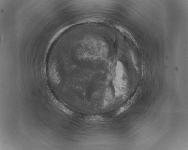 X0000074040784200609111738