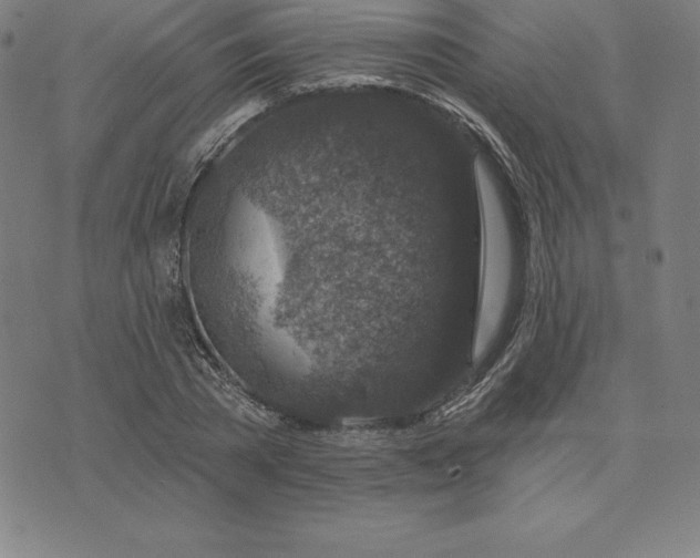 X0000074040785200609111738