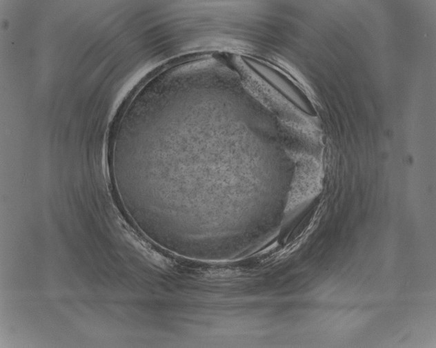 X0000074040788200609111738