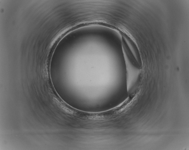 X0000074040789200609111738