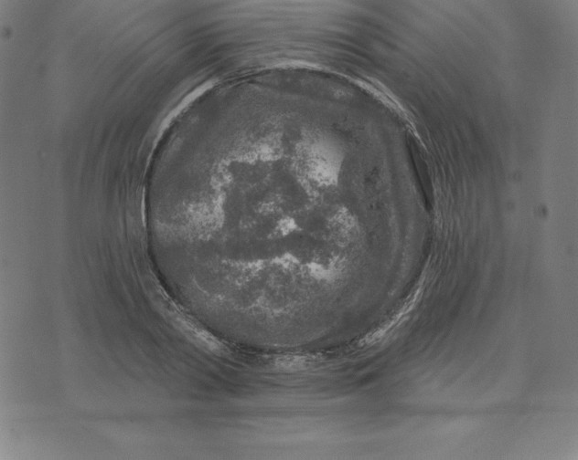 X0000074040790200609111738