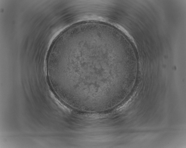 X0000074040791200609111738