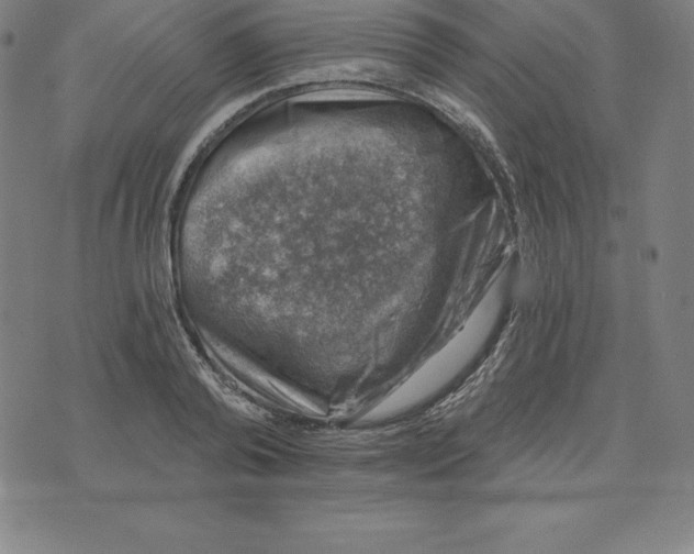 X0000074040792200609111738