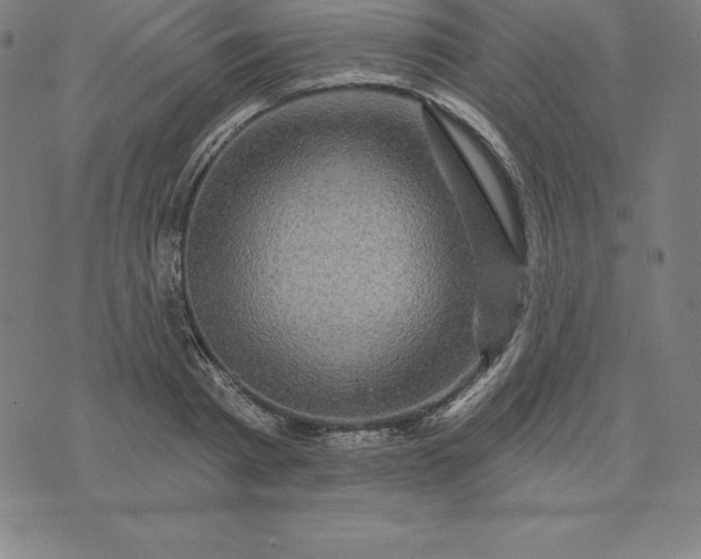 X0000074040793200609111738