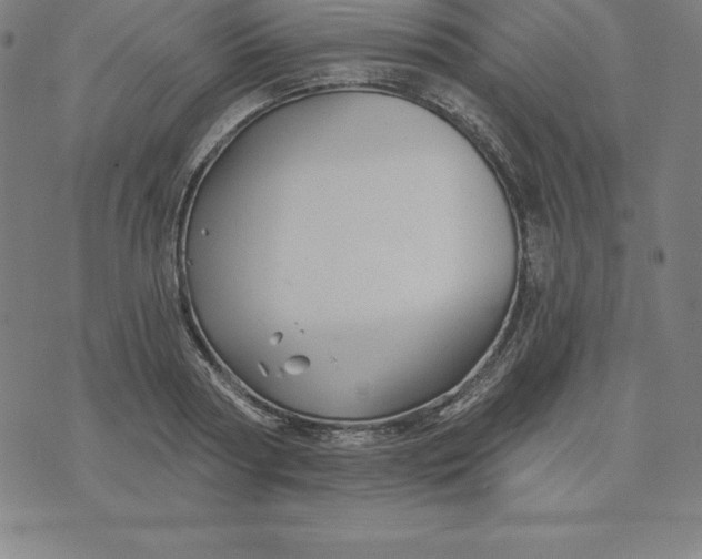 X0000074040794200609111738