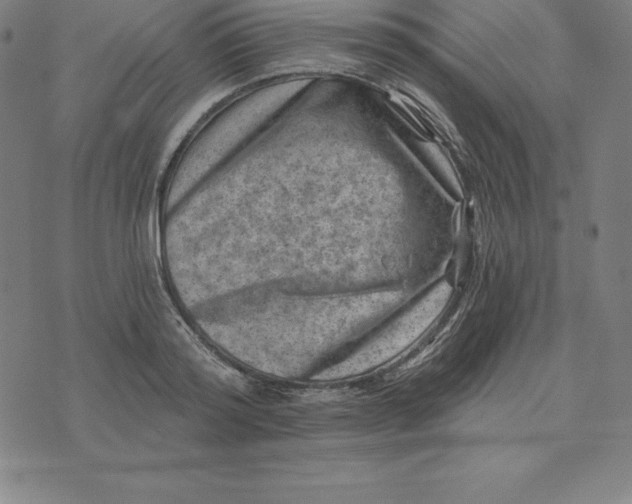 X0000074040796200609111738