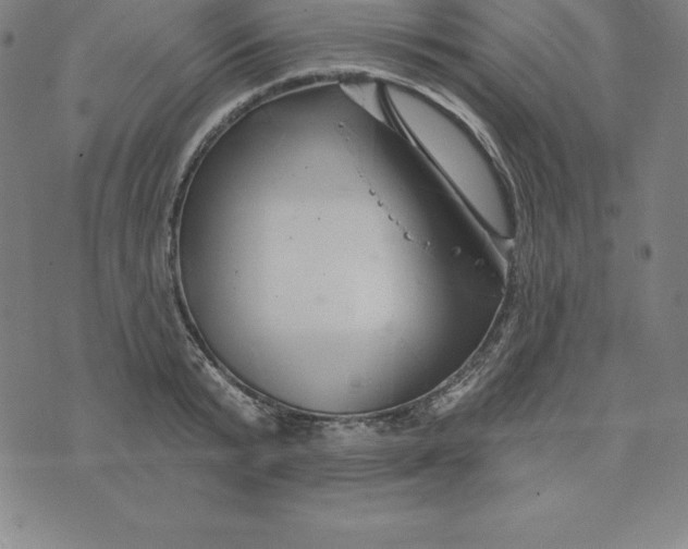 X0000074040799200609111738