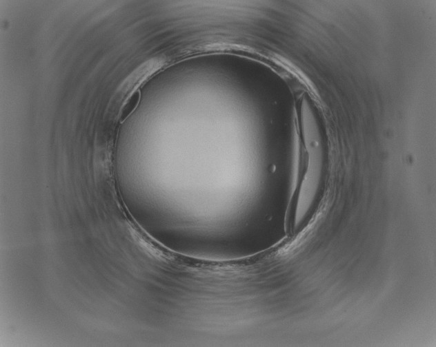 X0000074040801200609111738