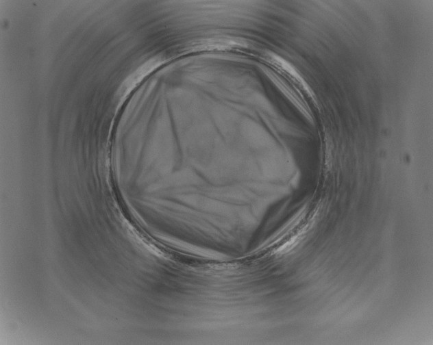 X0000074040802200609111738