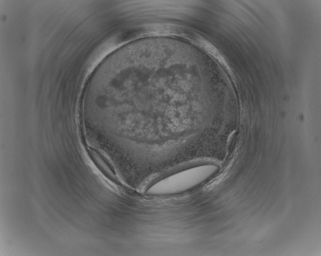 X0000074040803200609111738