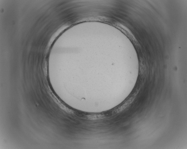 X0000074040804200609111737