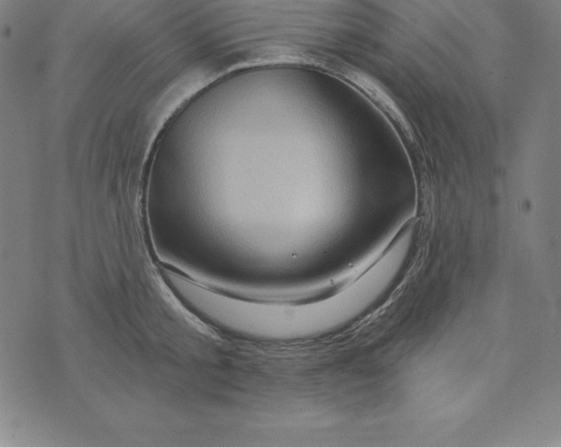 X0000074040805200609111737