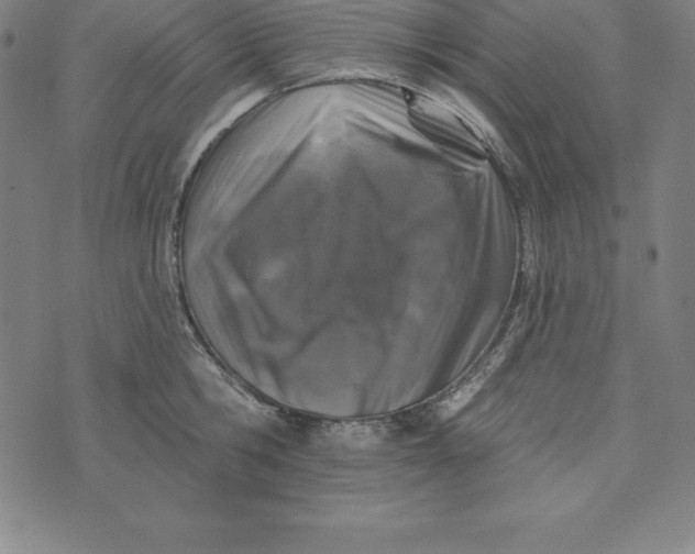 X0000074040806200609111737