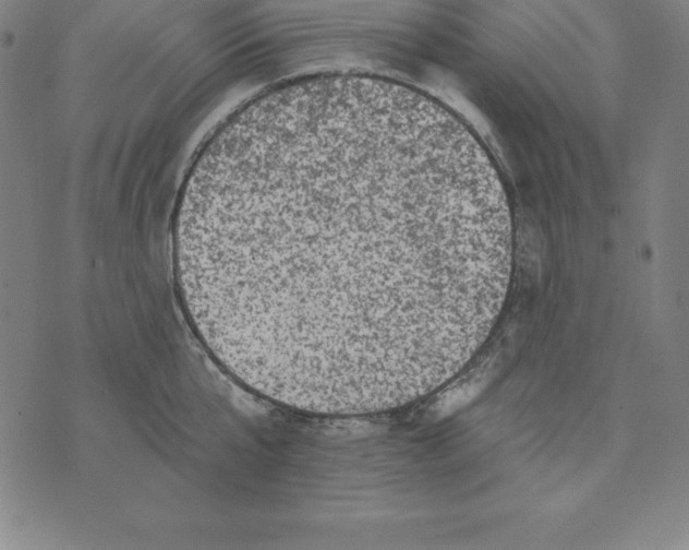 X0000074040807200609111737