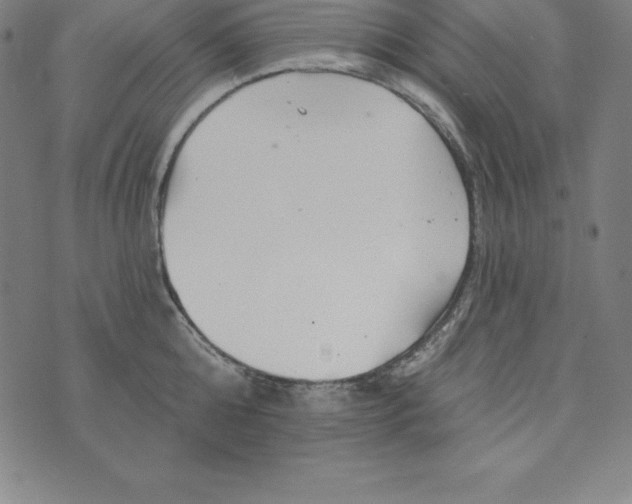 X0000074040808200609111737