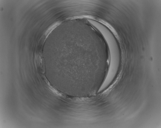 X0000074040809200609111737