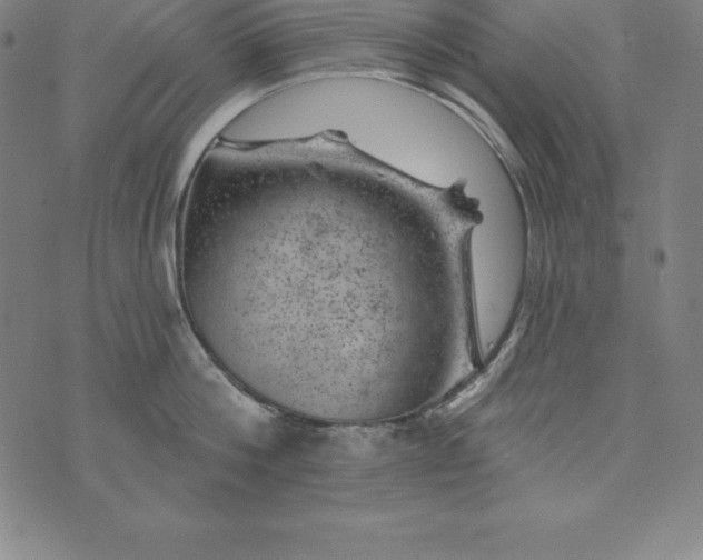 X0000074040812200609111737