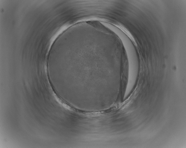 X0000074040813200609111737