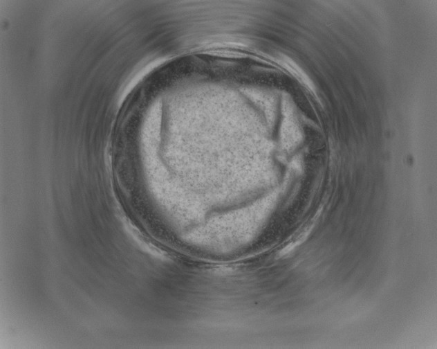 X0000074040814200609111737