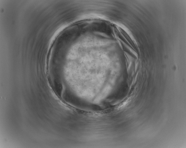 X0000074040815200609111737