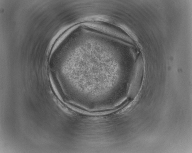 X0000074040816200609111737