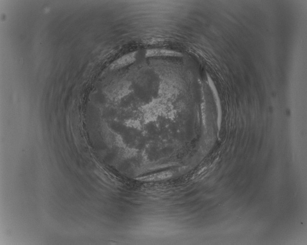 X0000074040817200609111737